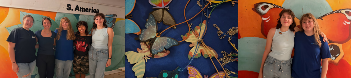 butterfly-mural-col.png