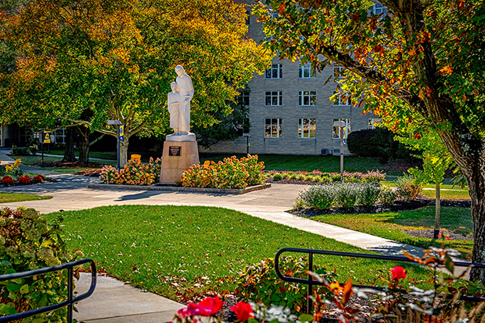 MSJ Quad Aerial View
