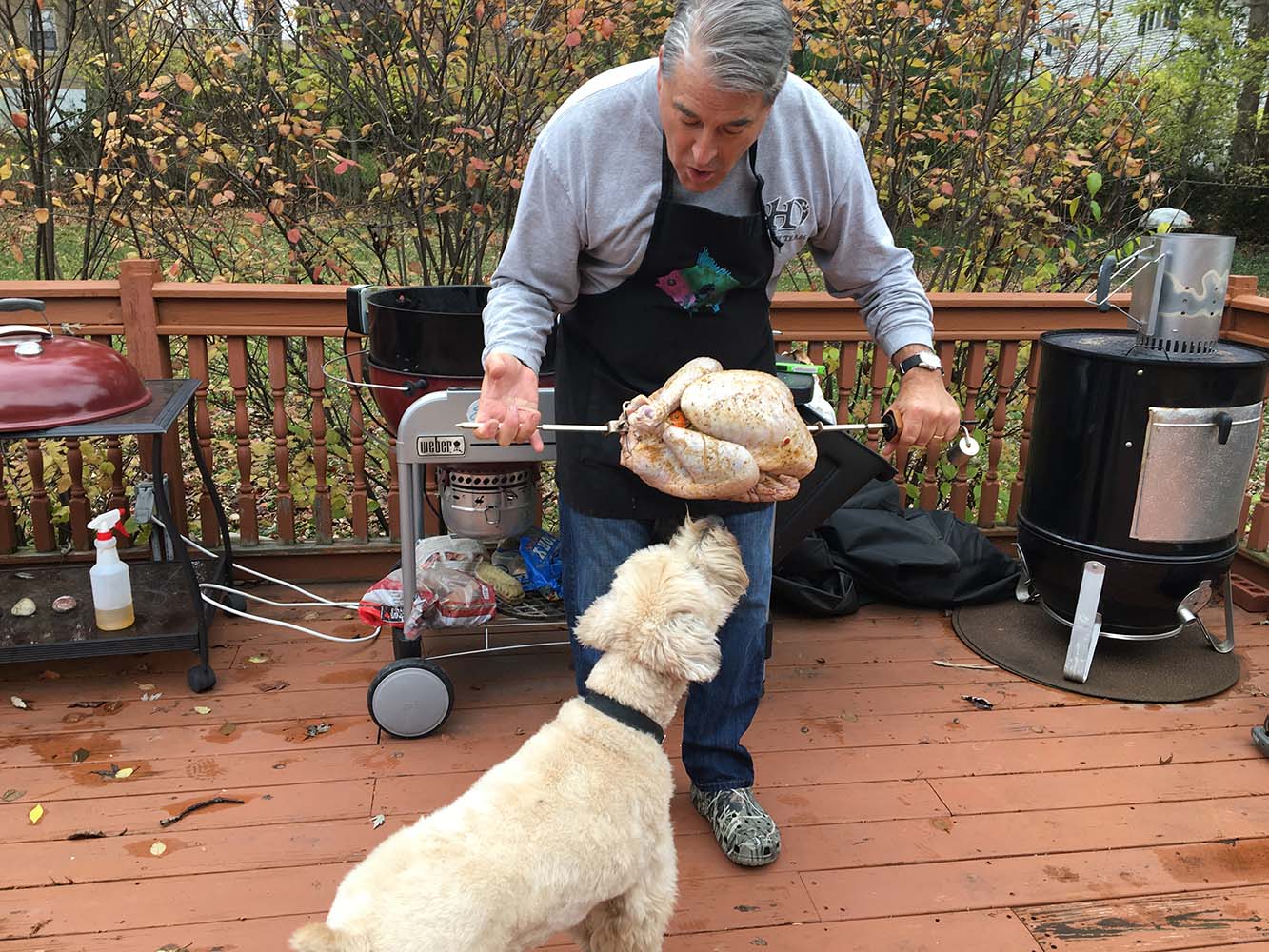 Giving Thanks at Thanksgiving for Murphy, our COVID rescue, and Tom Turkey!