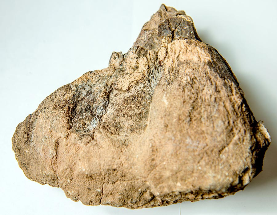 rock