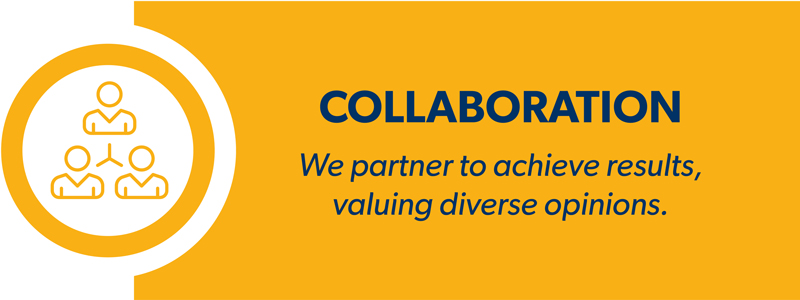 Collaboration, partnering to achieve results and valuing diverse opinions,