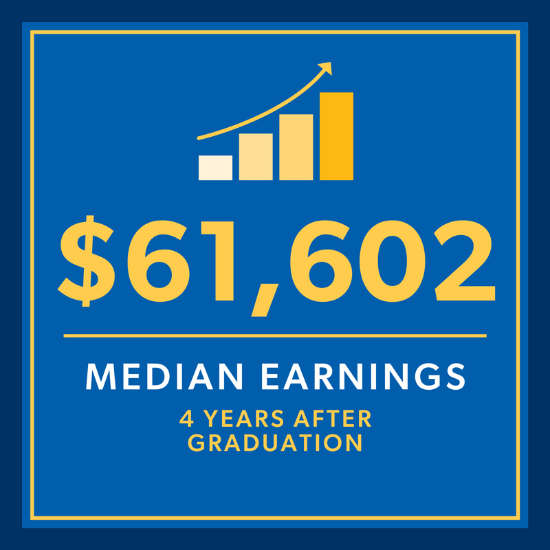 StratPlanWebGraphicsMEDIAN.jpg